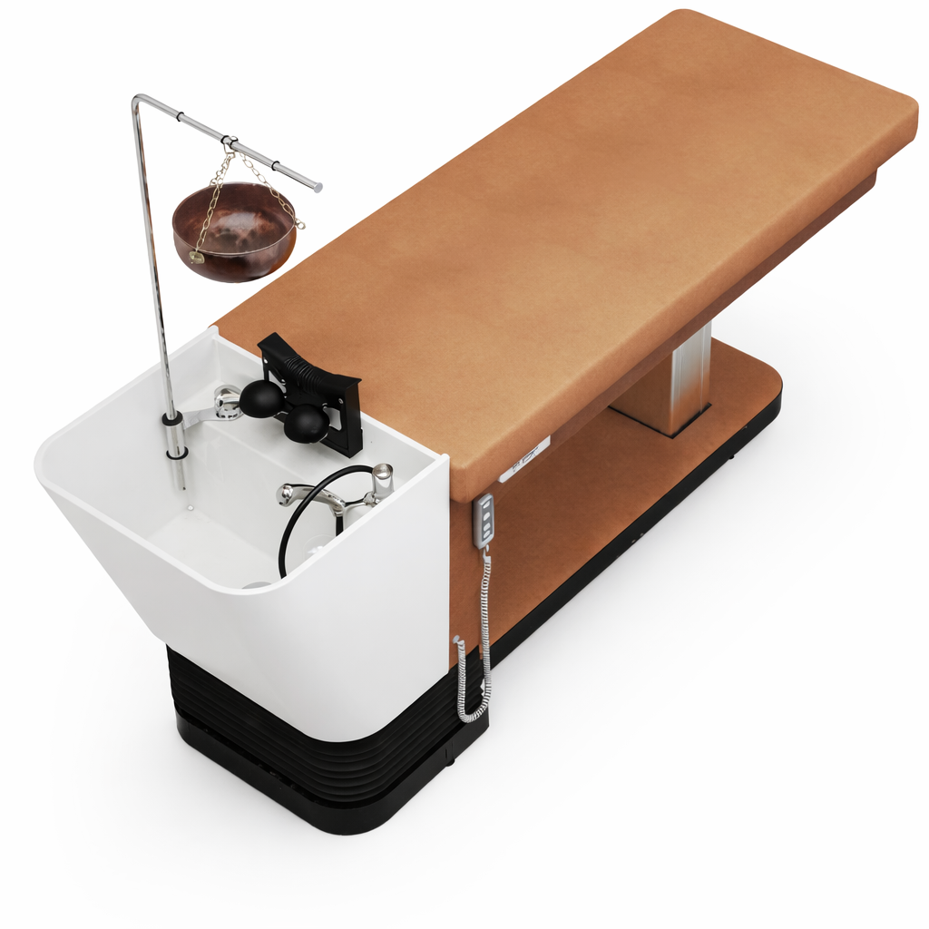 Zen Lift Head Spa Bed